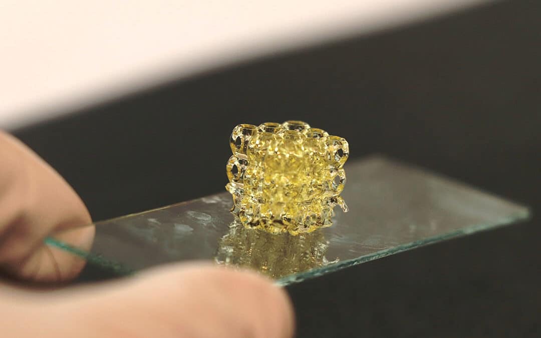 SBMC and BIO INX Secure €240,000 Grant for Pioneering 3D Bioprinting Project in Bone and Cartilage Repair